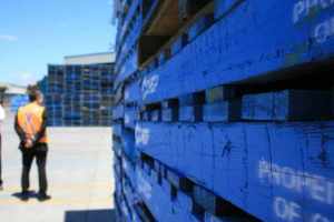 Pallet index predicts steady growth